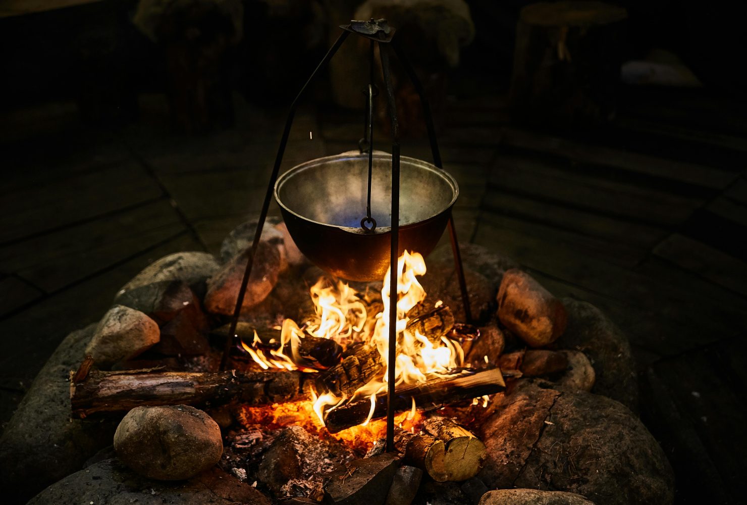Pan op het vuur in het bos